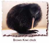 Ain't it soooooooooooooo KAWAII!!!! ^_^