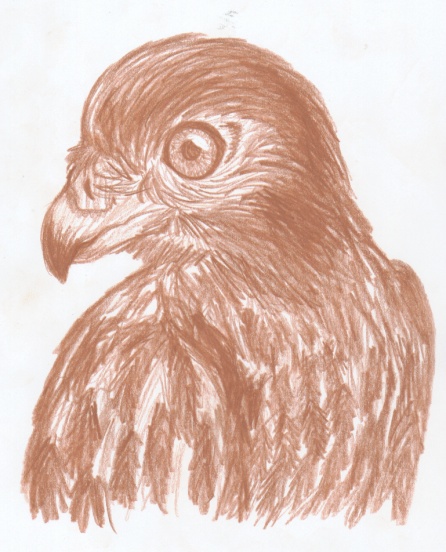 Brown charcoal... sorta
