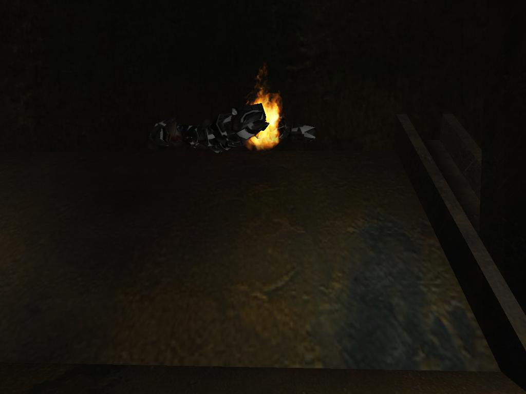 i'm on fire!....er ...actually, he's on fire :)