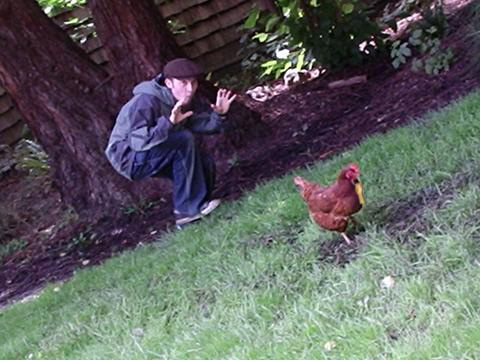 KeyChicken.jpg